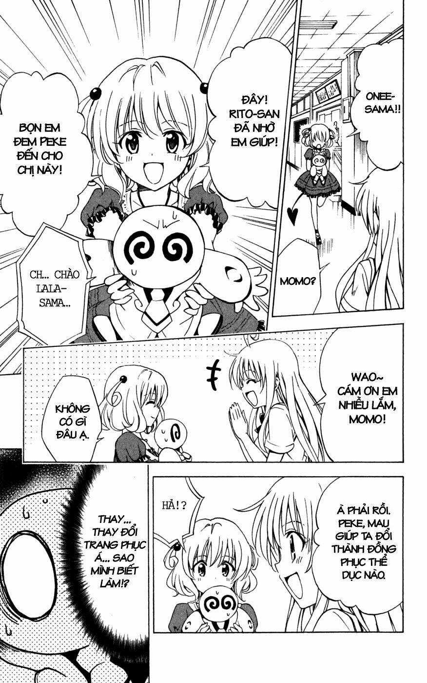 Palawari's Choice Chapter 152 trang 16