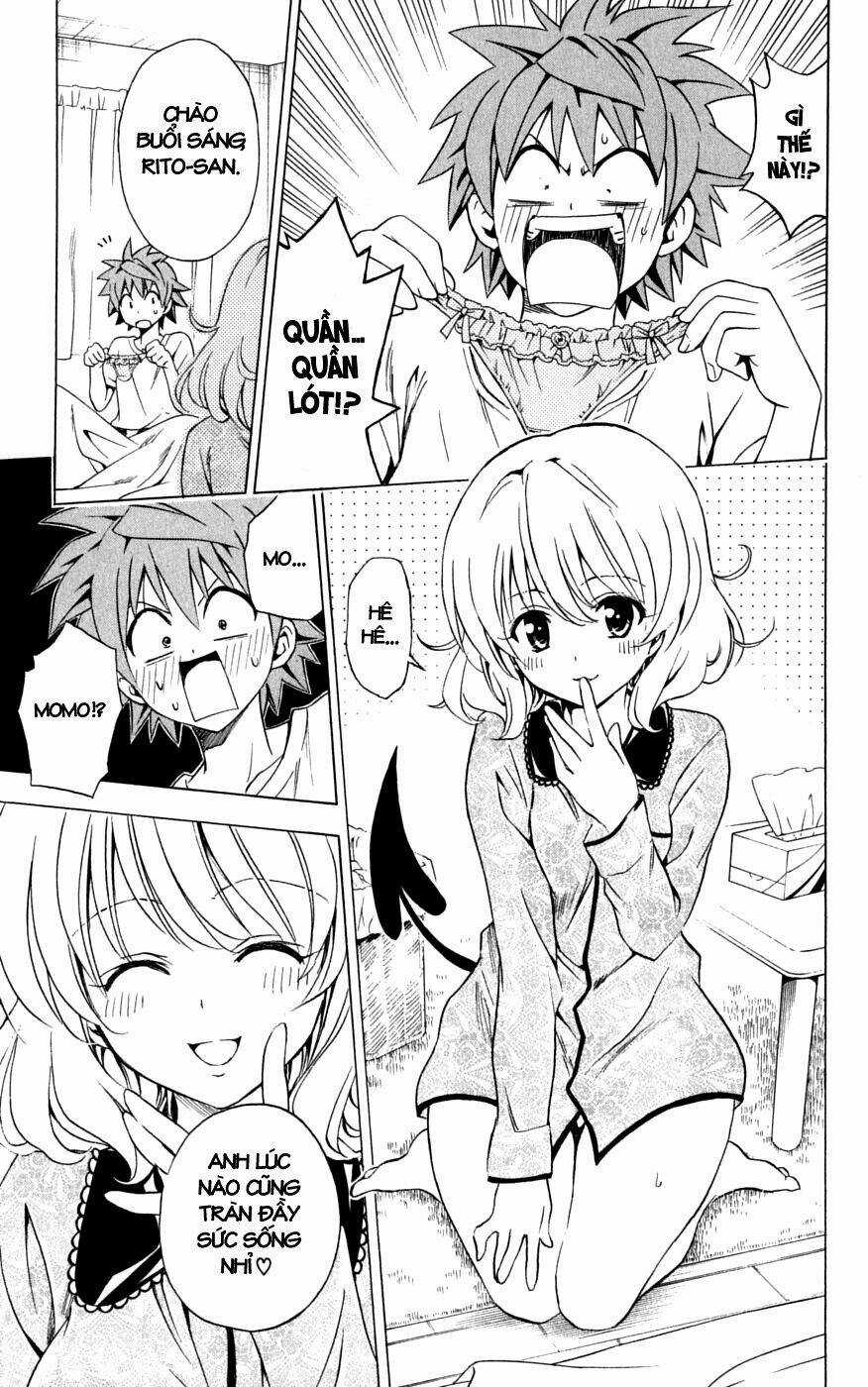 Palawari's Choice Chapter 152 trang 2