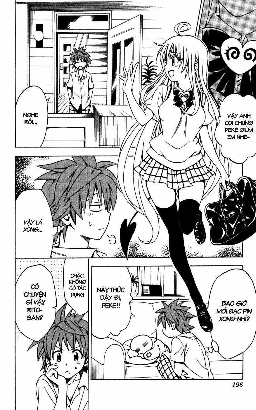 Palawari's Choice Chapter 152 trang 7