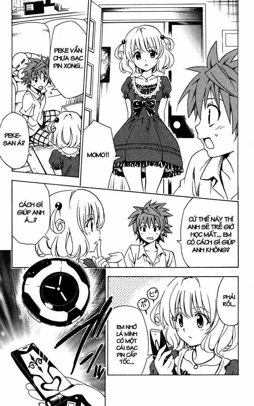 Palawari's Choice Chapter 152 trang 8