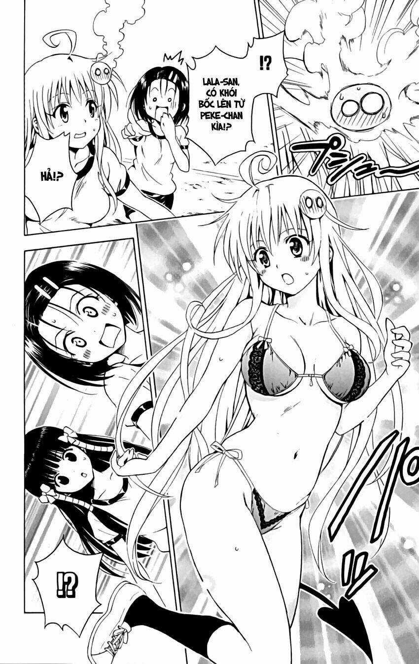 Palawari's Choice Chapter 153 trang 19