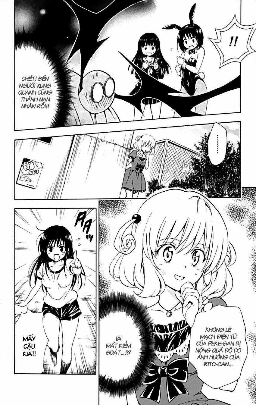 Palawari's Choice Chapter 153 trang 23