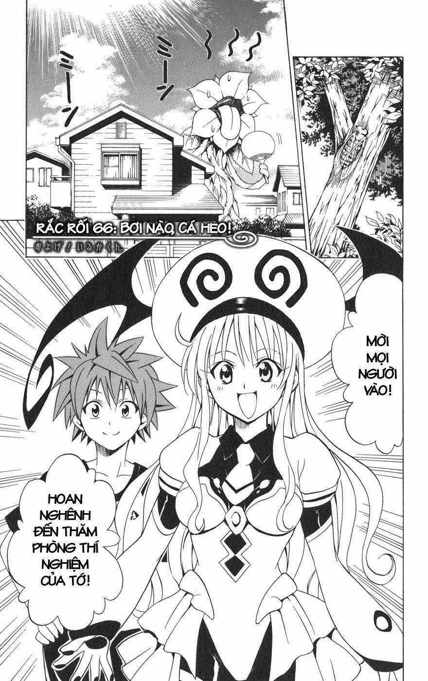 Palawari's Choice Chapter 66 trang 0