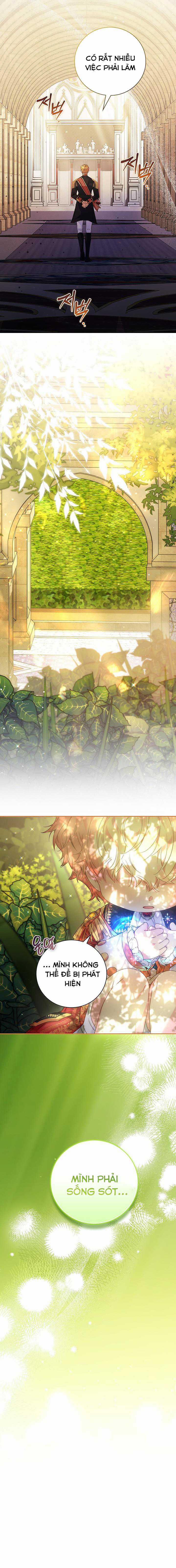 Papa Là Kẻ Thù Kiếp Trước Của Tôi? Chapter 10 trang 16