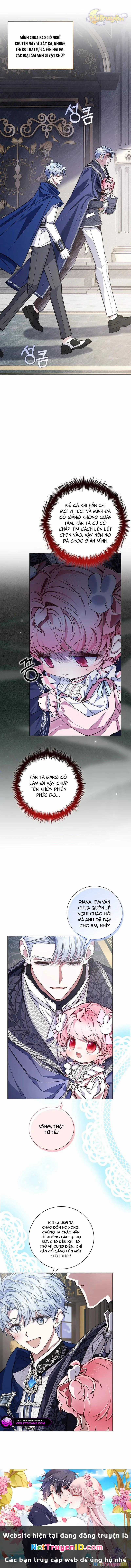 Papa Là Kẻ Thù Kiếp Trước Của Tôi? Chapter 44 trang 11