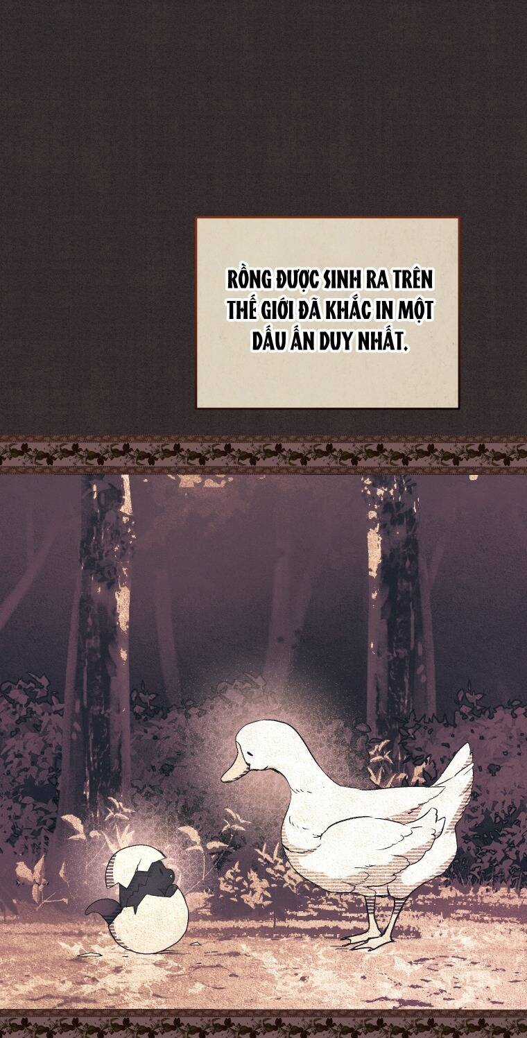 Papa Tôi Là Bạo Chúa Ác Ma Chapter 56 trang 42