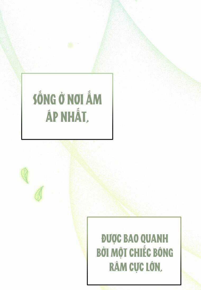 Papa Tôi Là Bạo Chúa Ác Ma Chapter 9 trang 51