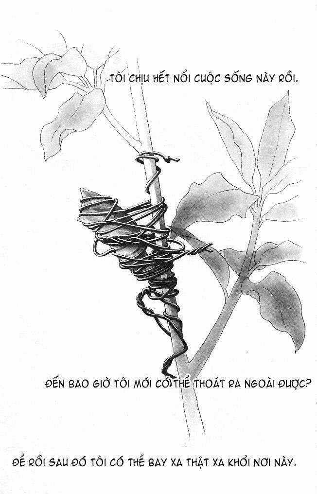 Papillon hana to chou Chapter 1 trang 3