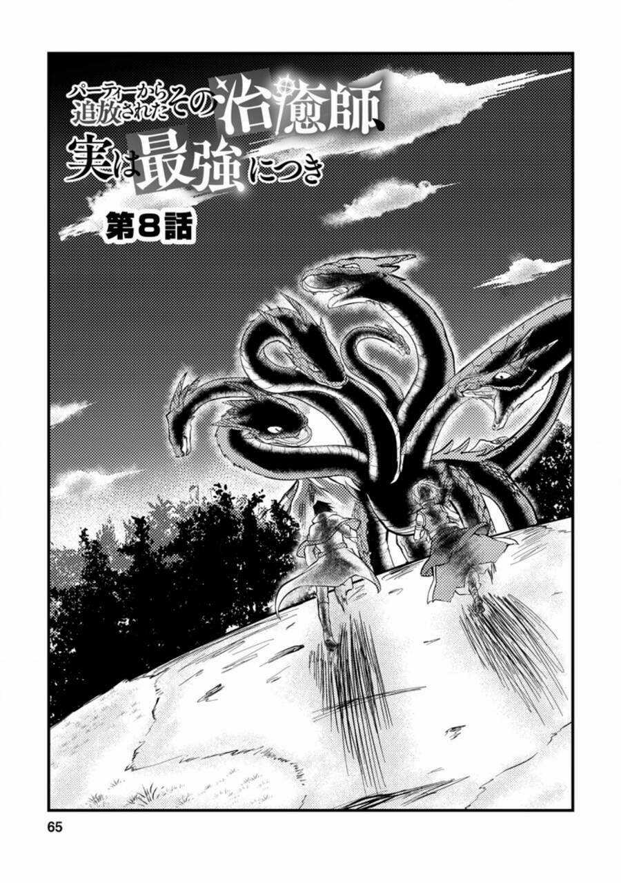 Party Kara Tsuihou Sareta Sono Chiyushi, Jitsu Wa Saikyou Nitsuki Chapter 8 trang 4