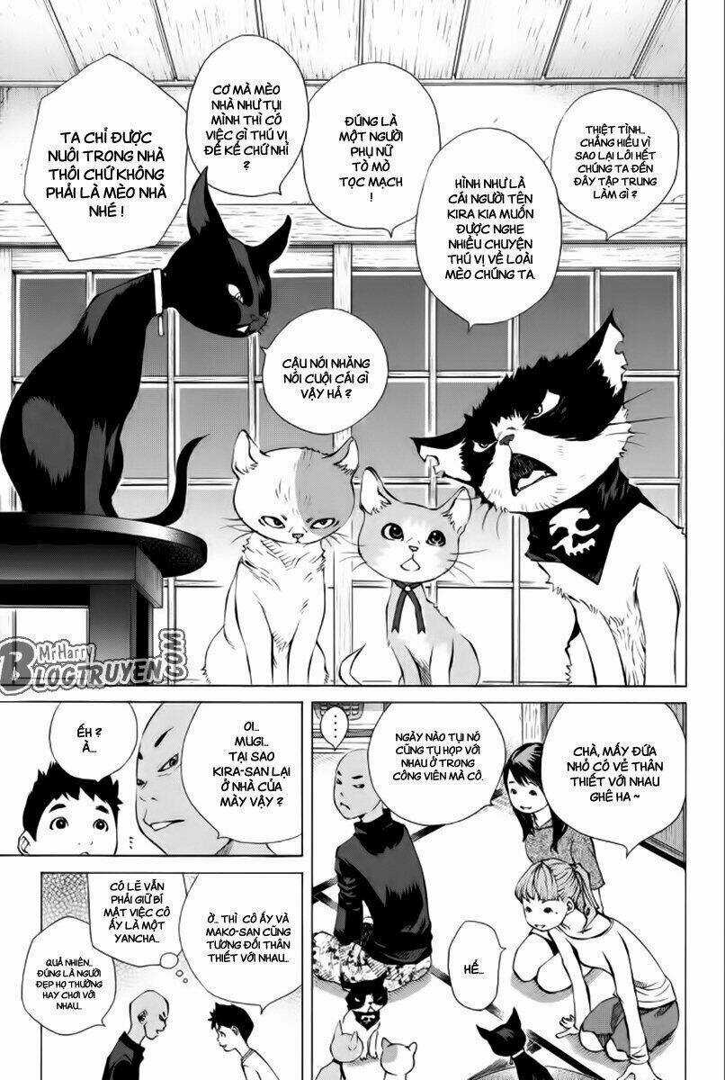 Pastel Chapter 176 trang 13