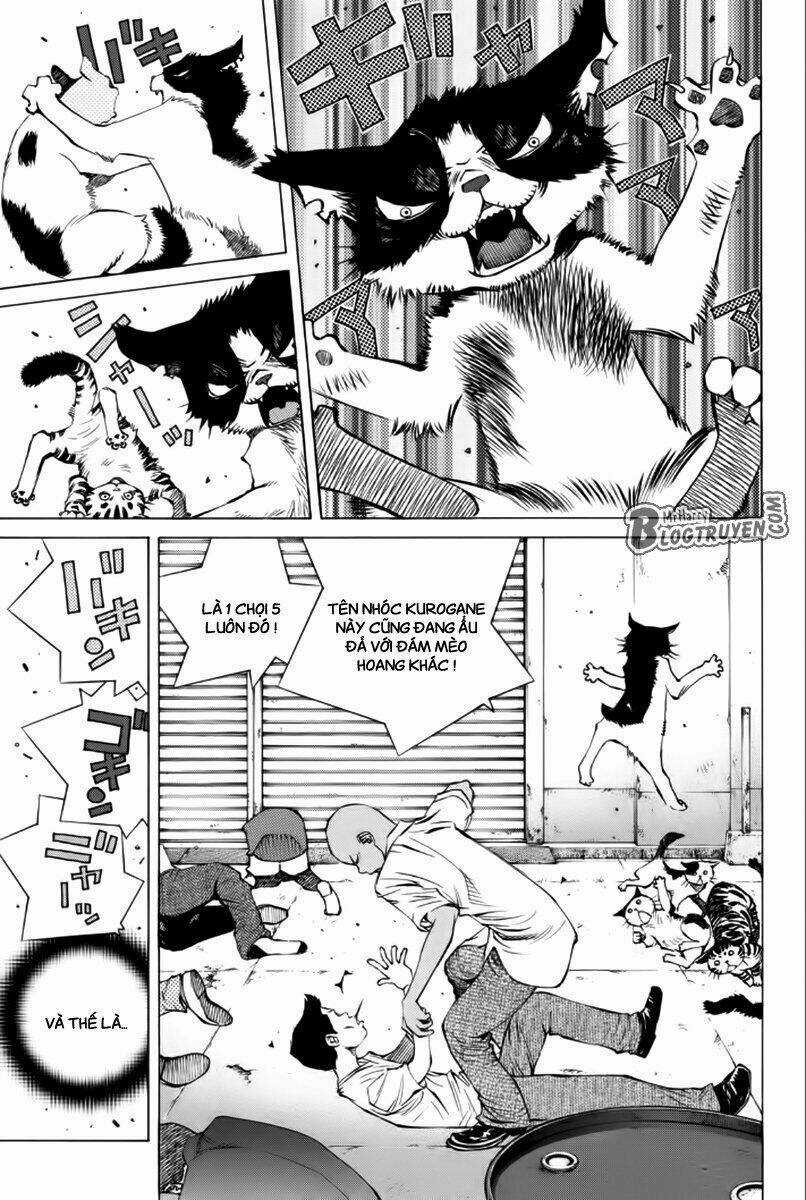 Pastel Chapter 176 trang 15