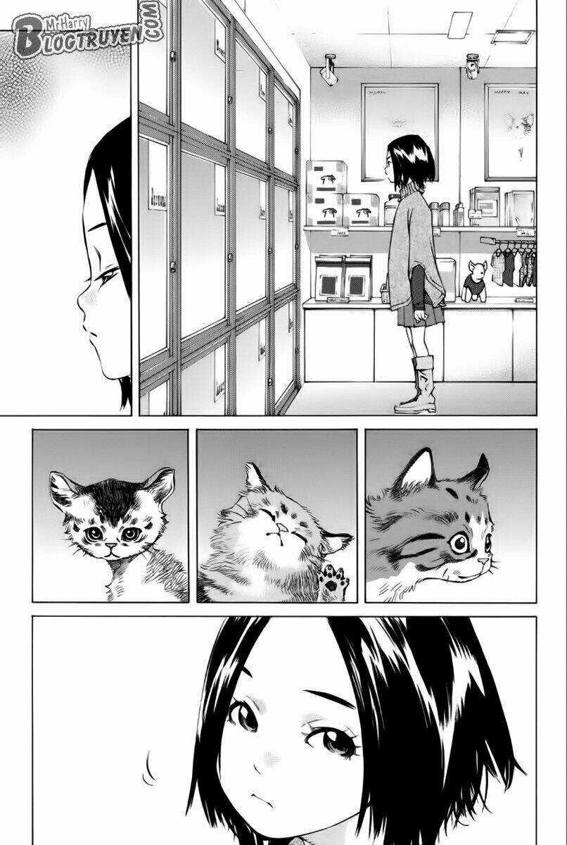 Pastel Chapter 176 trang 19