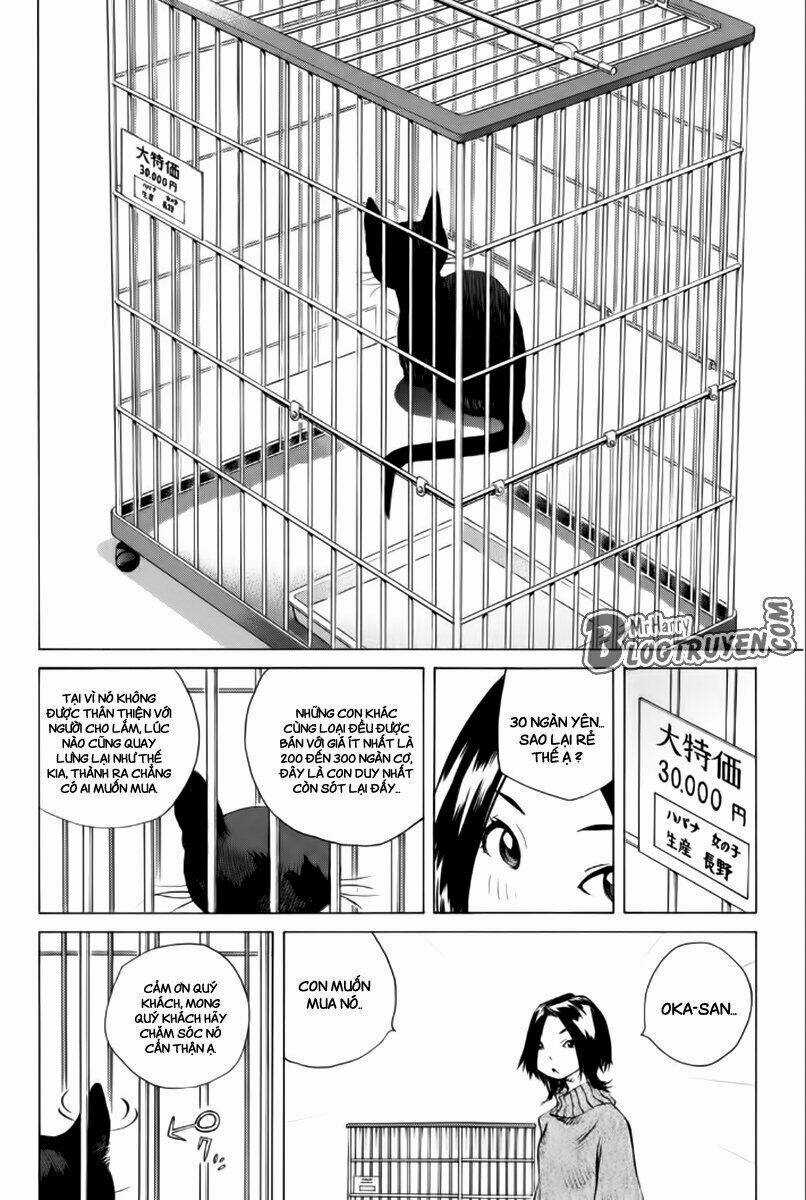 Pastel Chapter 176 trang 20