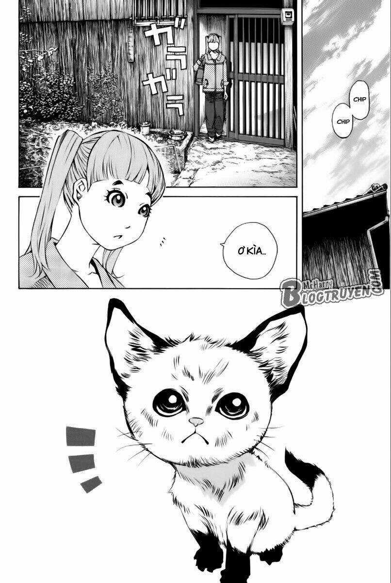 Pastel Chapter 176 trang 28