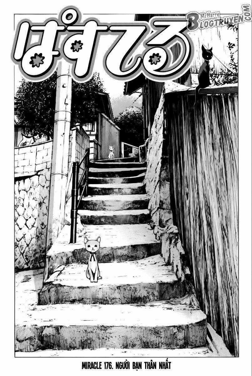 Pastel Chapter 176 trang 3