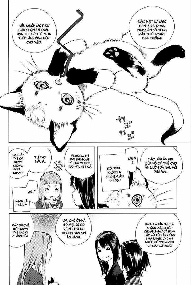 Pastel Chapter 177 trang 16