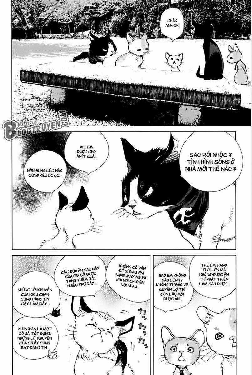 Pastel Chapter 177 trang 22