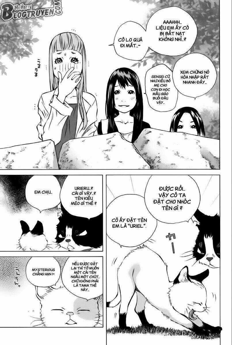 Pastel Chapter 177 trang 23