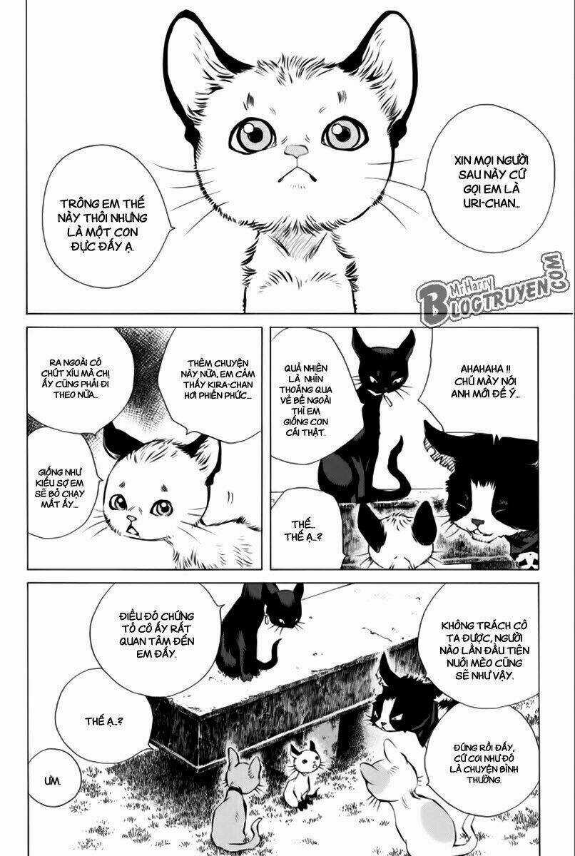 Pastel Chapter 177 trang 24