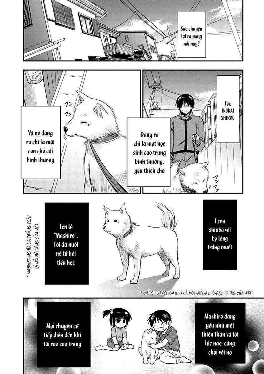 Perowan! - Hayaku Shinasai! Goshujin-Sama Chapter 1 trang 14