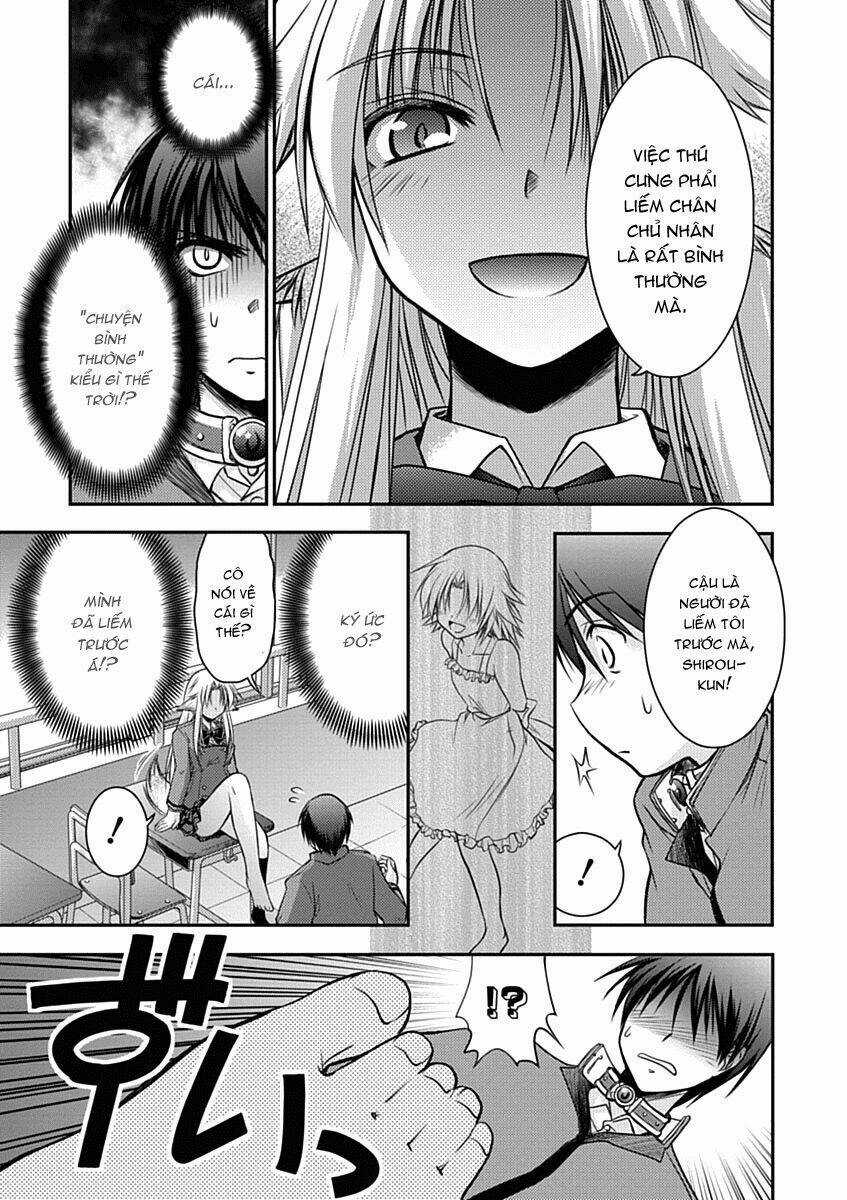 Perowan! - Hayaku Shinasai! Goshujin-Sama Chapter 1 trang 5