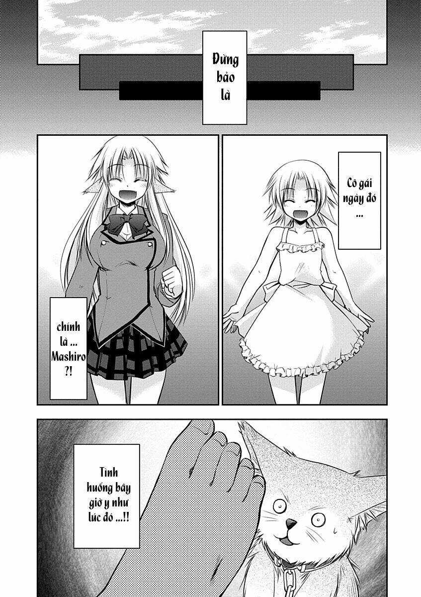 Perowan! - Hayaku Shinasai! Goshujin-Sama Chapter 10 trang 14