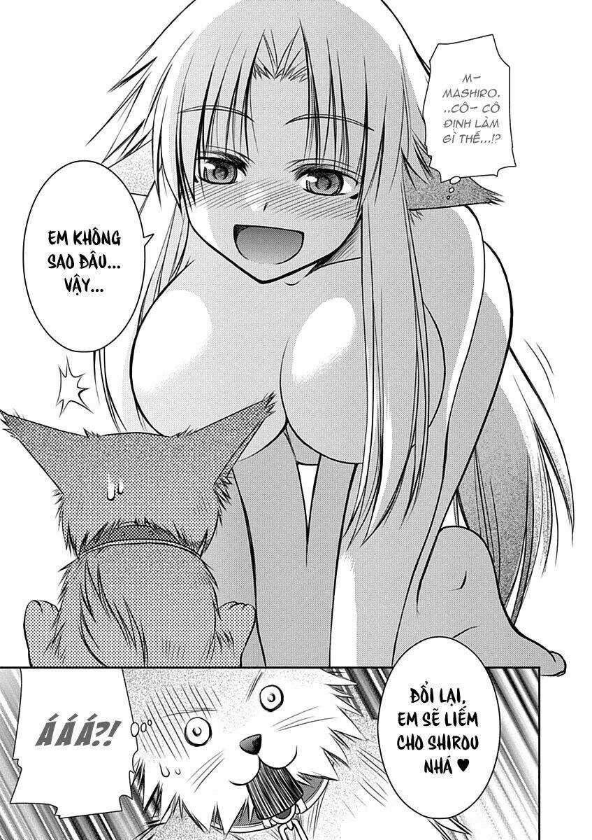 Perowan! - Hayaku Shinasai! Goshujin-Sama Chapter 10 trang 17