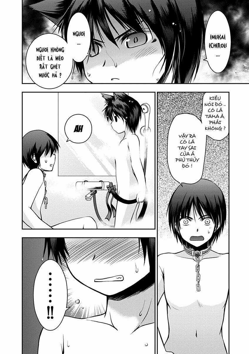 Perowan! - Hayaku Shinasai! Goshujin-Sama Chapter 11 trang 14