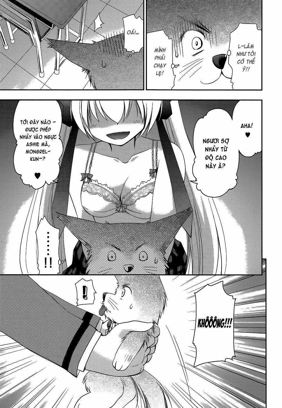 Perowan! - Hayaku Shinasai! Goshujin-Sama Chapter 15 trang 15