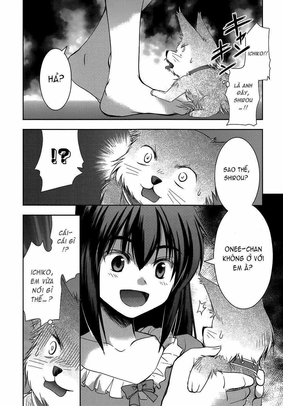 Perowan! - Hayaku Shinasai! Goshujin-Sama Chapter 17 trang 16