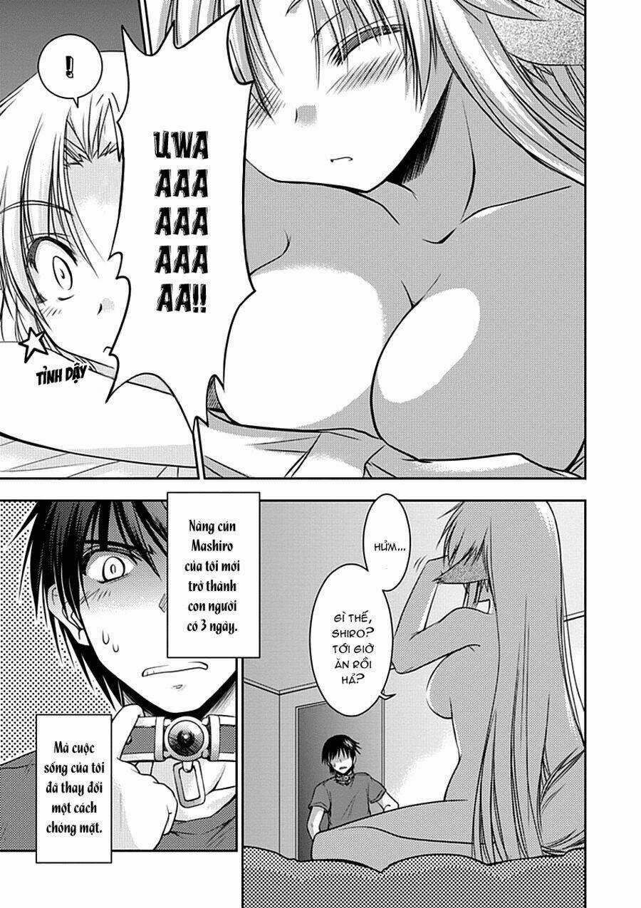 Perowan! - Hayaku Shinasai! Goshujin-Sama Chapter 2 trang 2