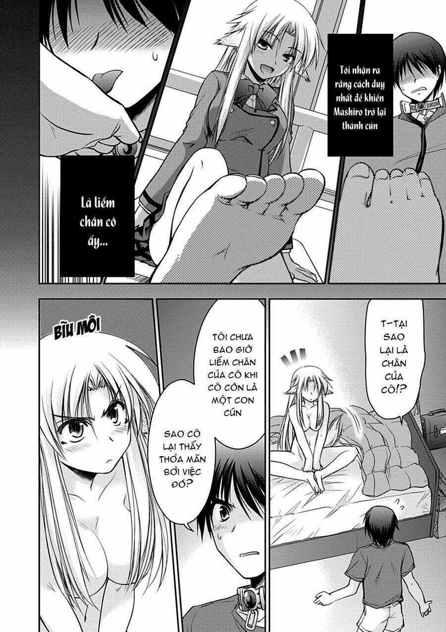 Perowan! - Hayaku Shinasai! Goshujin-Sama Chapter 2 trang 3