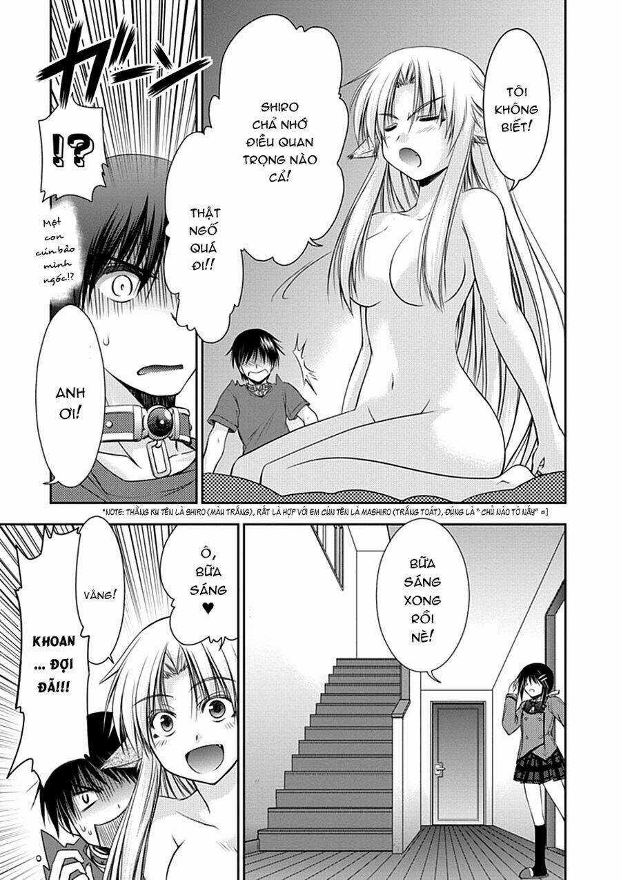 Perowan! - Hayaku Shinasai! Goshujin-Sama Chapter 2 trang 4