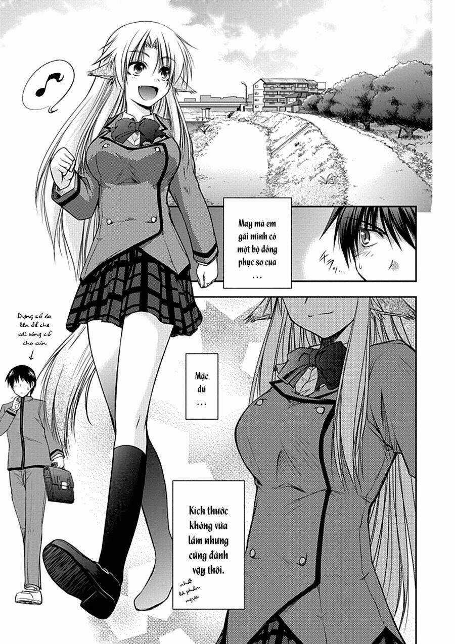 Perowan! - Hayaku Shinasai! Goshujin-Sama Chapter 2 trang 6