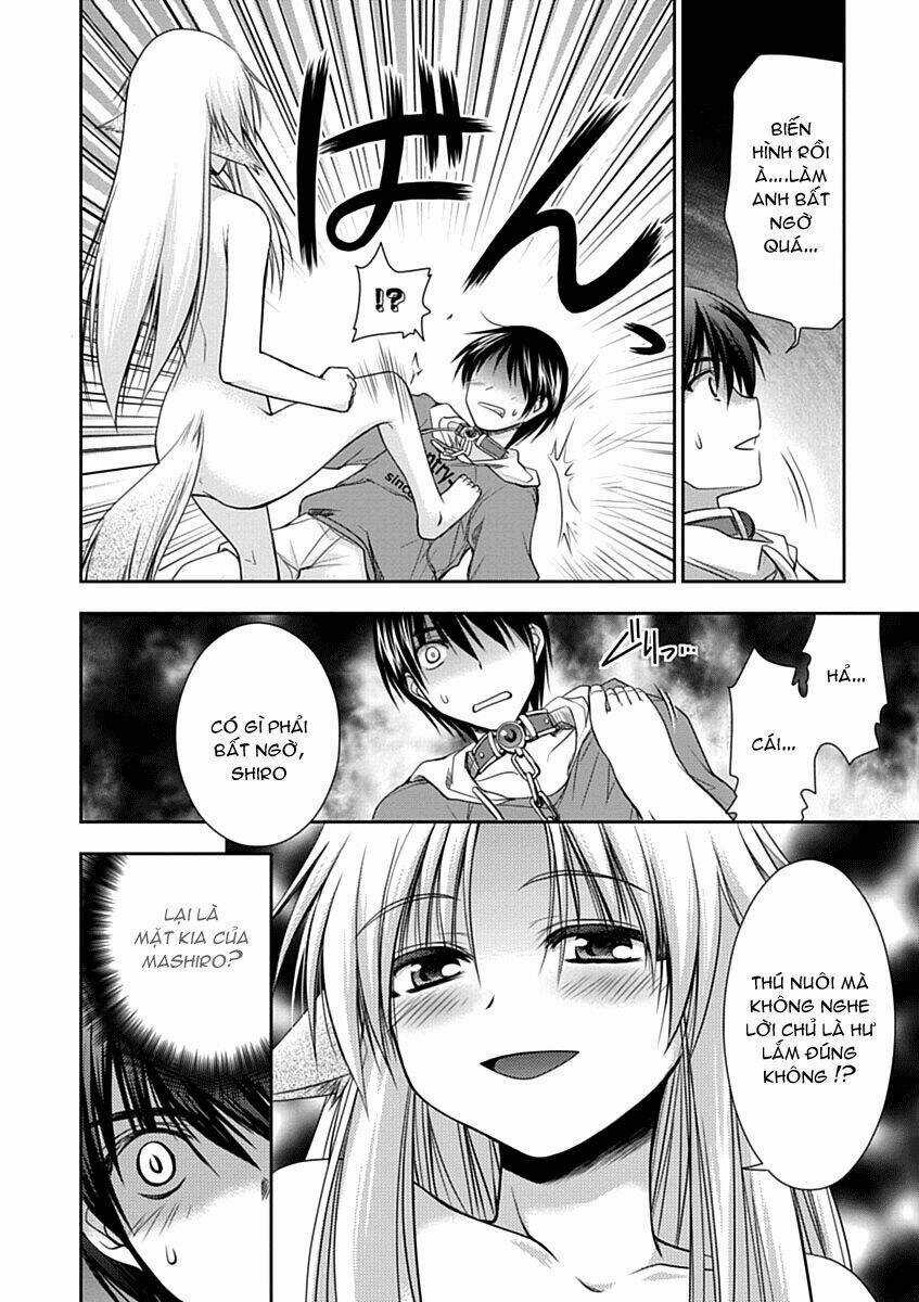 Perowan! - Hayaku Shinasai! Goshujin-Sama Chapter 6 trang 19