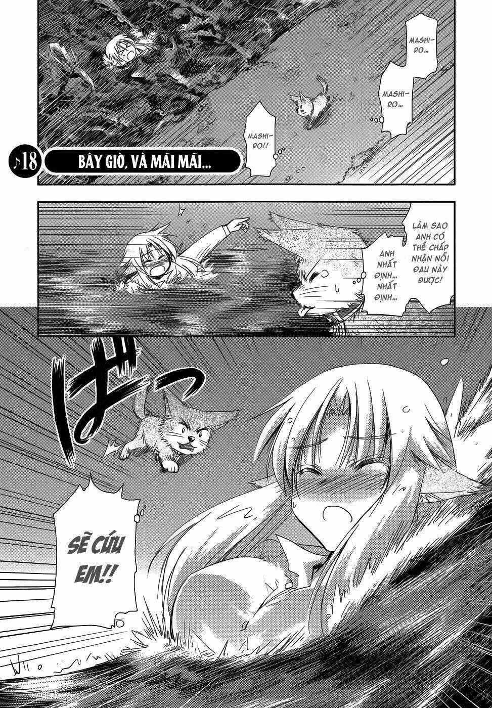Perowan! - Hayaku Shinasai! Goshujinsama Chapter 18 trang 1