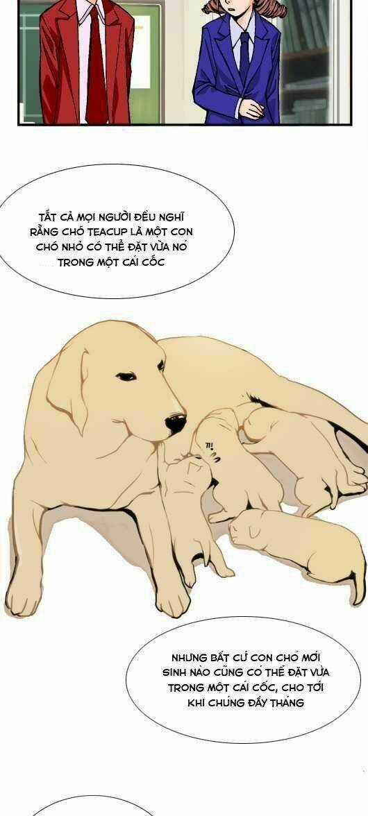 Pet Diary Chapter 15.1 trang 8