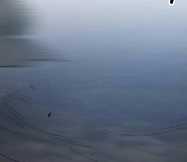 Phá Bỏ Giới Hạn Chapter 141.5 trang 136