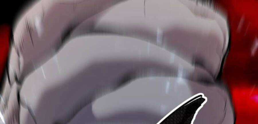 Phá Bỏ Giới Hạn Chapter 49.5 trang 165