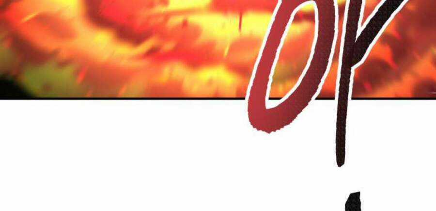 Phá Bỏ Giới Hạn Chapter 50.5 trang 202