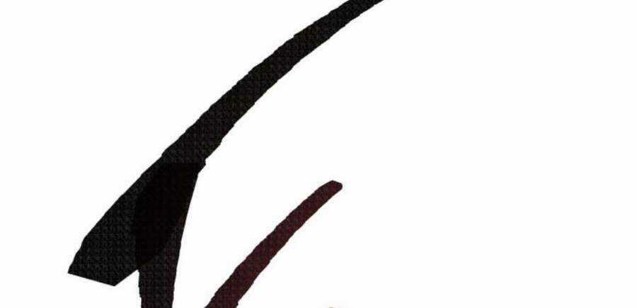 Phá Bỏ Giới Hạn Chapter 50.5 trang 240