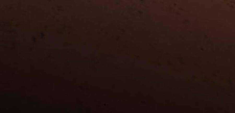 Phá Bỏ Giới Hạn Chapter 50.5 trang 248