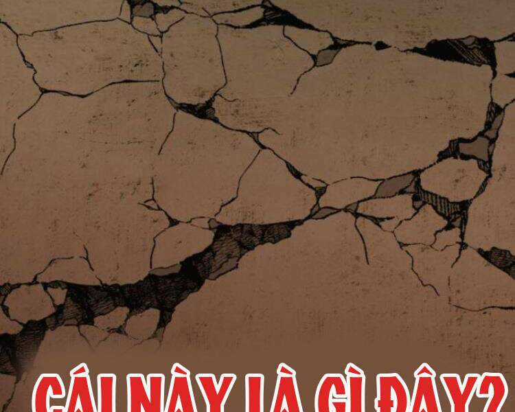 Phá Bỏ Giới Hạn Chapter 54.5 trang 161