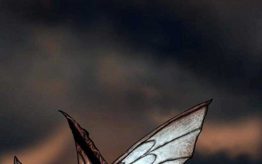 Phá Bỏ Giới Hạn Chapter 58.5 trang 209