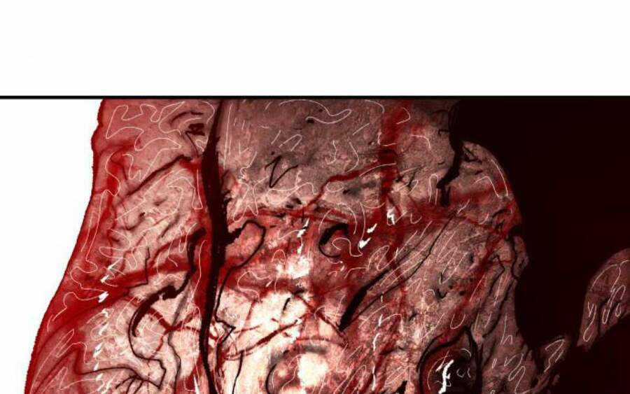 Phá Bỏ Giới Hạn Chapter 58.5 trang 231