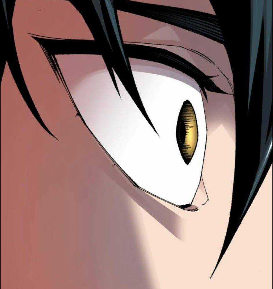 Phá Bỏ Giới Hạn Chapter 62 trang 261