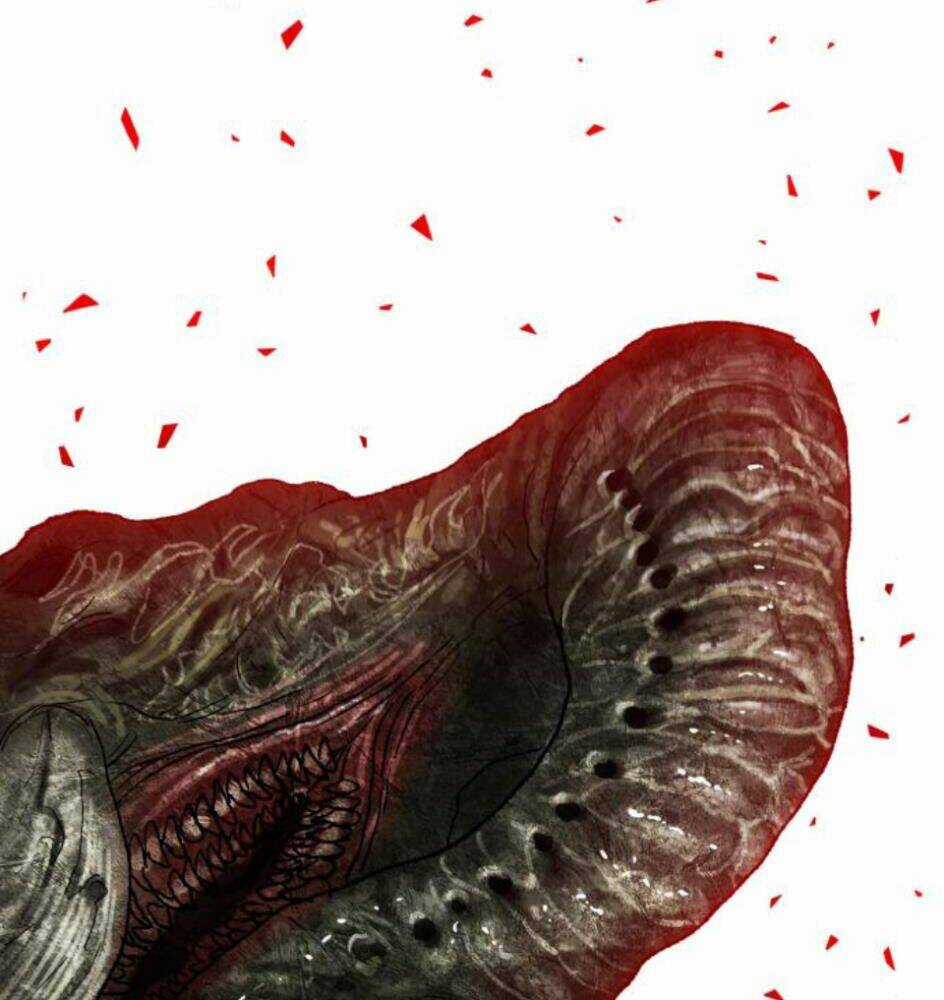 Phá Bỏ Giới Hạn Chapter 63 trang 242