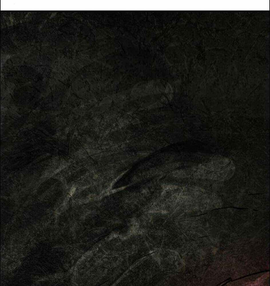 Phá Bỏ Giới Hạn Chapter 63 trang 257