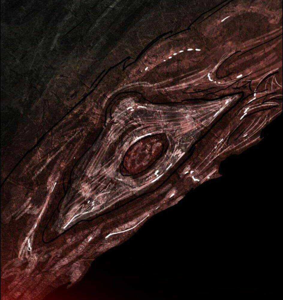 Phá Bỏ Giới Hạn Chapter 63 trang 258