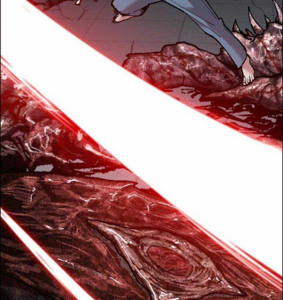 Phá Bỏ Giới Hạn Chapter 63 trang 260